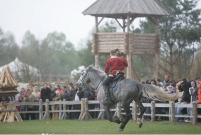 Трюки на лошадях в Киеве и Украине и конные трюки