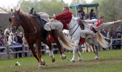 Трюки с лошадями в Киеве и Украине